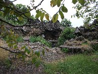 otta Intraleo-20100515 067